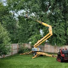 Lawn Edging in Frankenmuth, MI