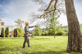 Frankenmuth, MI Tree Removal Services Company