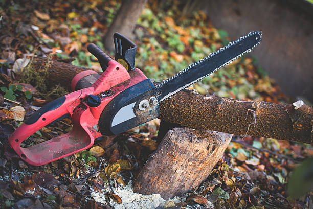 Best Stump Grinding and Removal  in Frankenmuth, MI